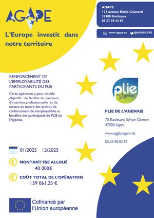 Affiche renforcement de l’employabilité des participants